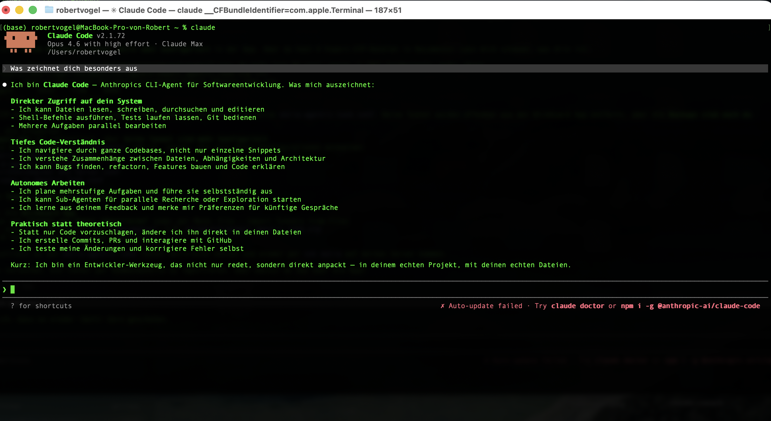 Claude Code im Terminal mit Fähigkeiten-Übersicht